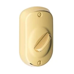 Schlage Bright Brass Steel Electronic Deadbolt -Irwim Door Locks Shop 1b4f78a5 d766 4b11 af61 e3c5970efb81