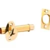 Ives Polished Brass Mortise Bolt
