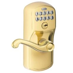 Schlage Bright Brass Steel Electronic Keypad Entry Lock -Irwim Door Locks Shop 677d1094 29f3 4b67 b07b 25d557007eb9