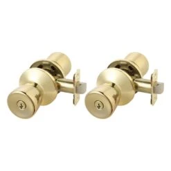 Ace Tulip Polished Brass Entry Door Kit 1-3/4 In.