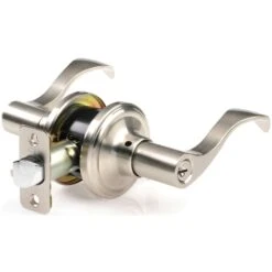 Ace Wave Satin Nickel Entry Lockset 1-3/4 In.